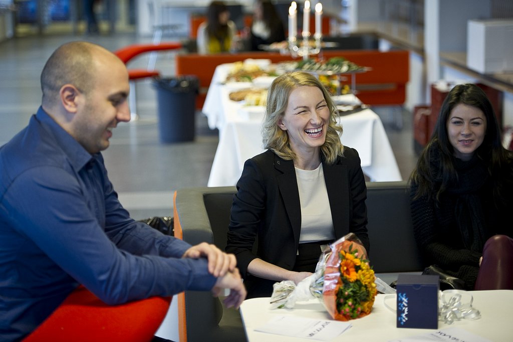 Kandidatdimission Januar 2013
