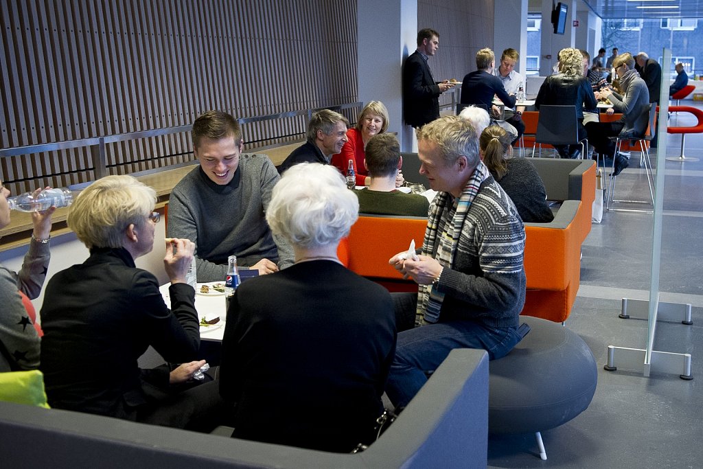 Kandidatdimission Januar 2013